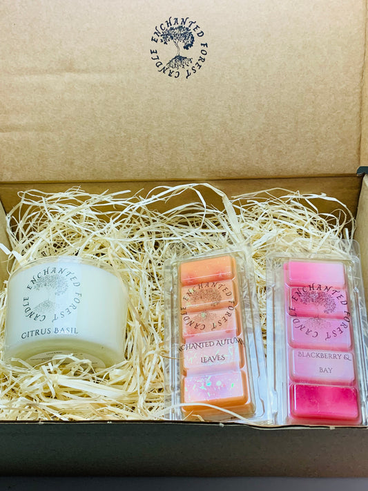 Candle and Melt gift set